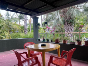 Rondebosch Gardens